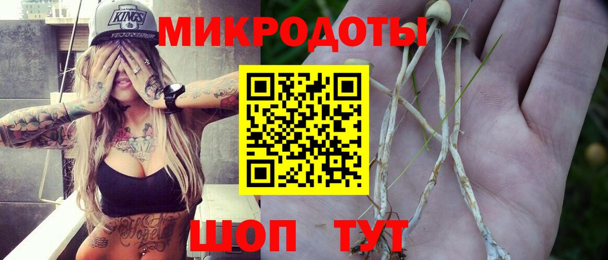 Казань  Псилоцибиновые грибы MAGIC MUSHROOMS  продажа наркотиков  Псилоцибиновые грибы прущие грибы  Вход с VPN 